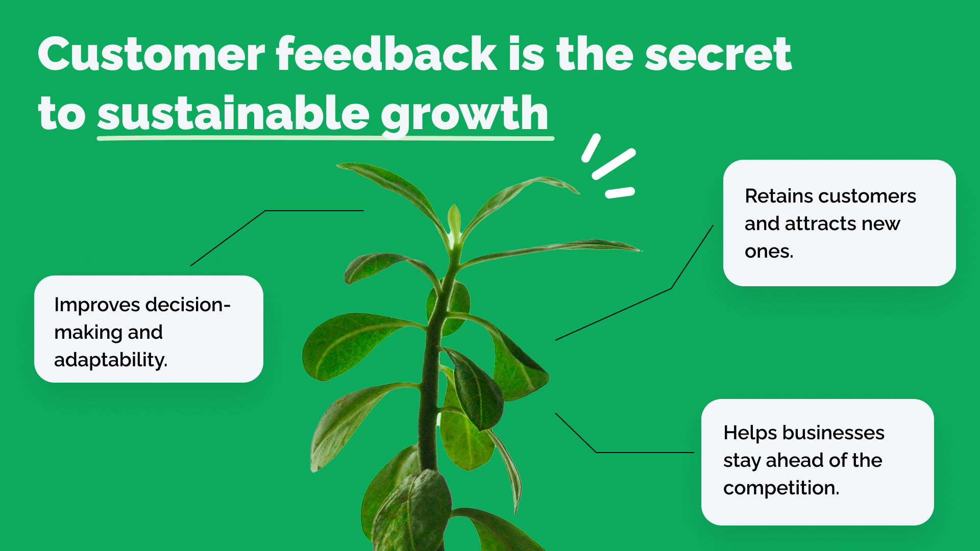 Infographic_Customer feedback is the secret to sustainable growth